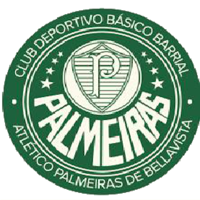 PALMEIRAS (BELLAVISTA CANAL 8) FUTBOL
